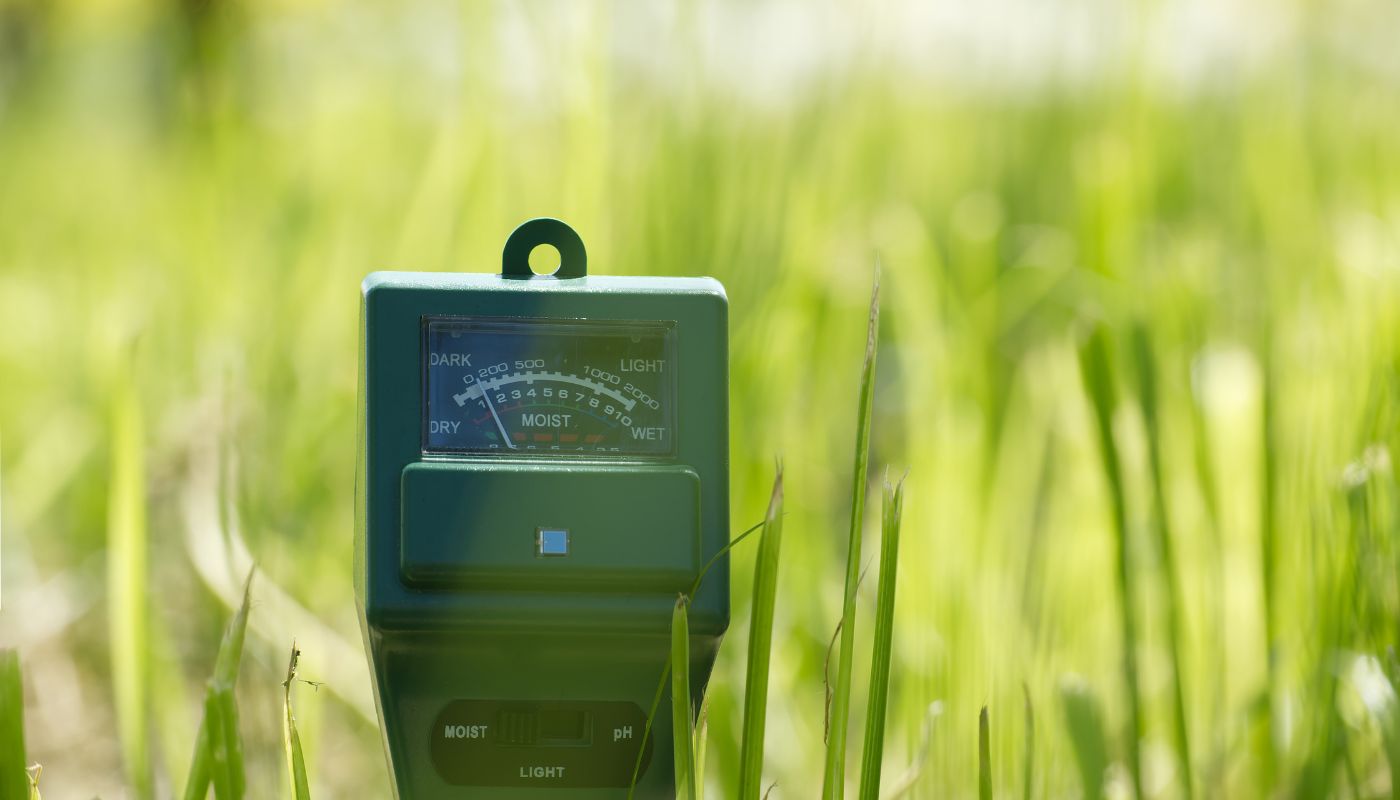 A soil tester placed in a grassy field measuring moisture, light, and pH levels for better plant care.